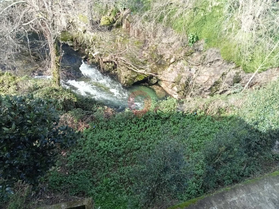 Negócio para Venda em Ceivães e Badim Foto 17
