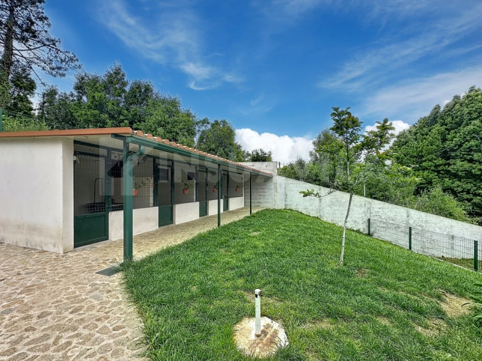 Moradia T3 para Venda em Venade e Azevedo Foto 28