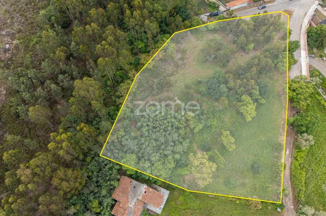 Terreno para Venda em Valongo Foto 3