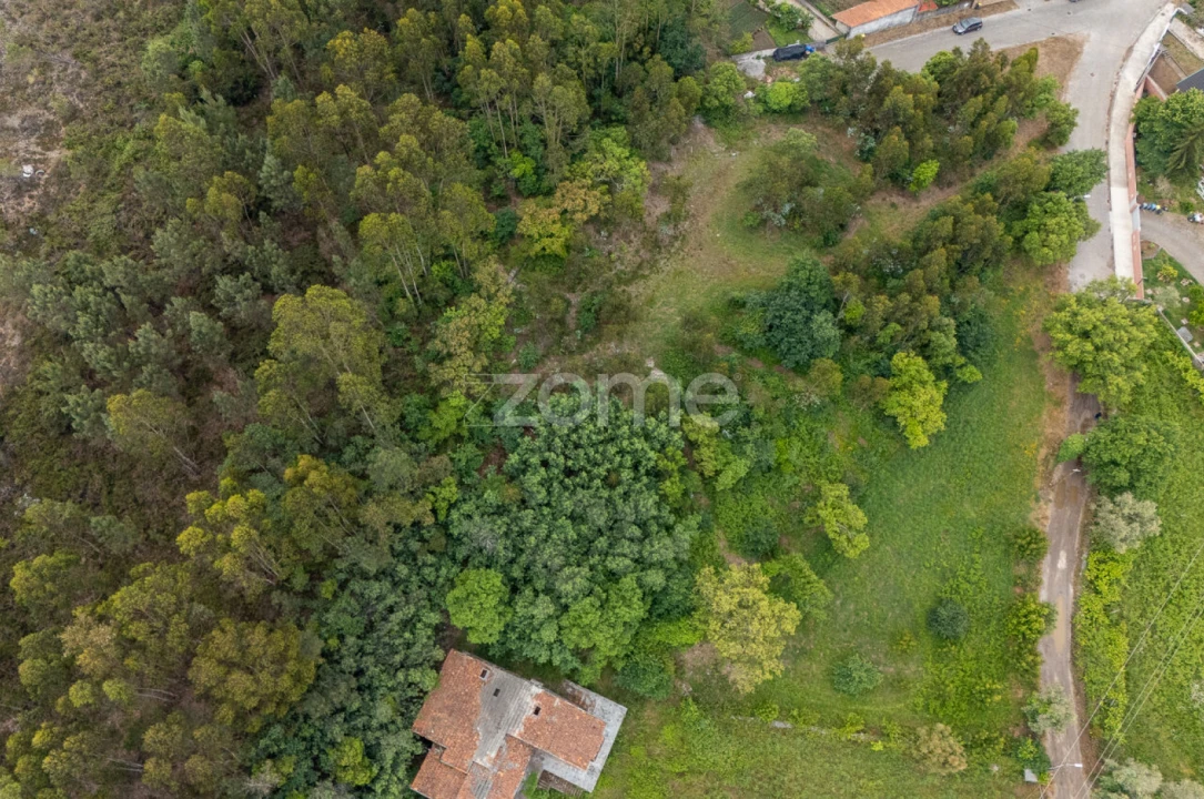 Terreno para Venda em Valongo Foto 4