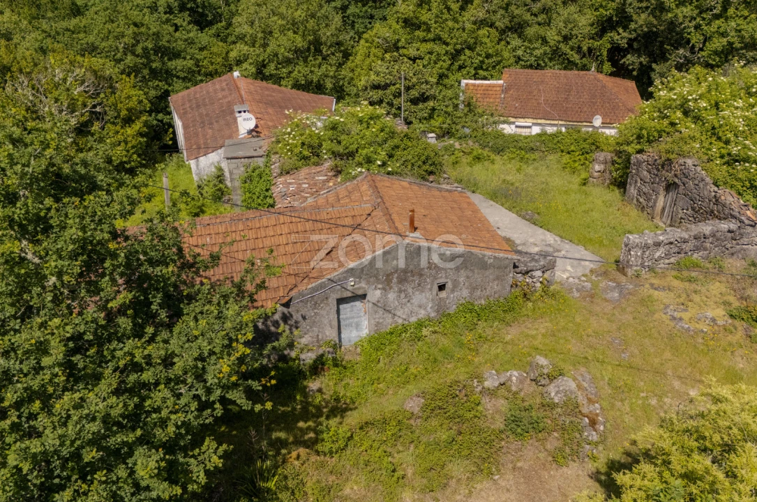 Quinta T5 para Venda em Rubiães Foto 14