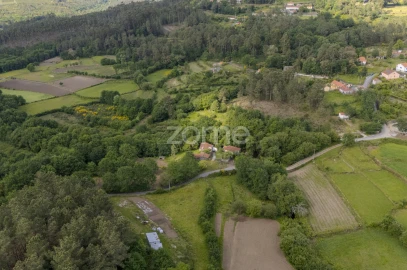 Quinta T5 para Venda em Rubiães