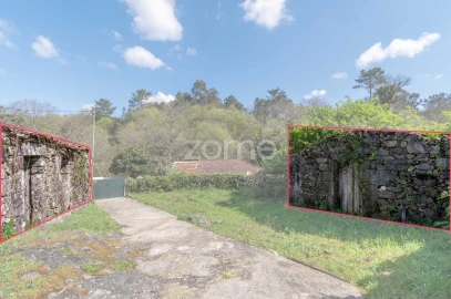 Quinta T5 para Venda em Rubiães