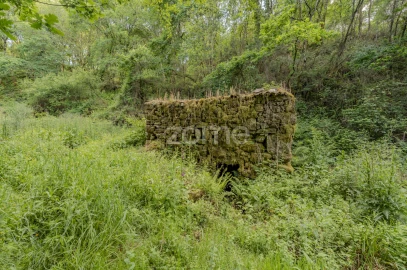 Quinta T5 para Venda em Rubiães