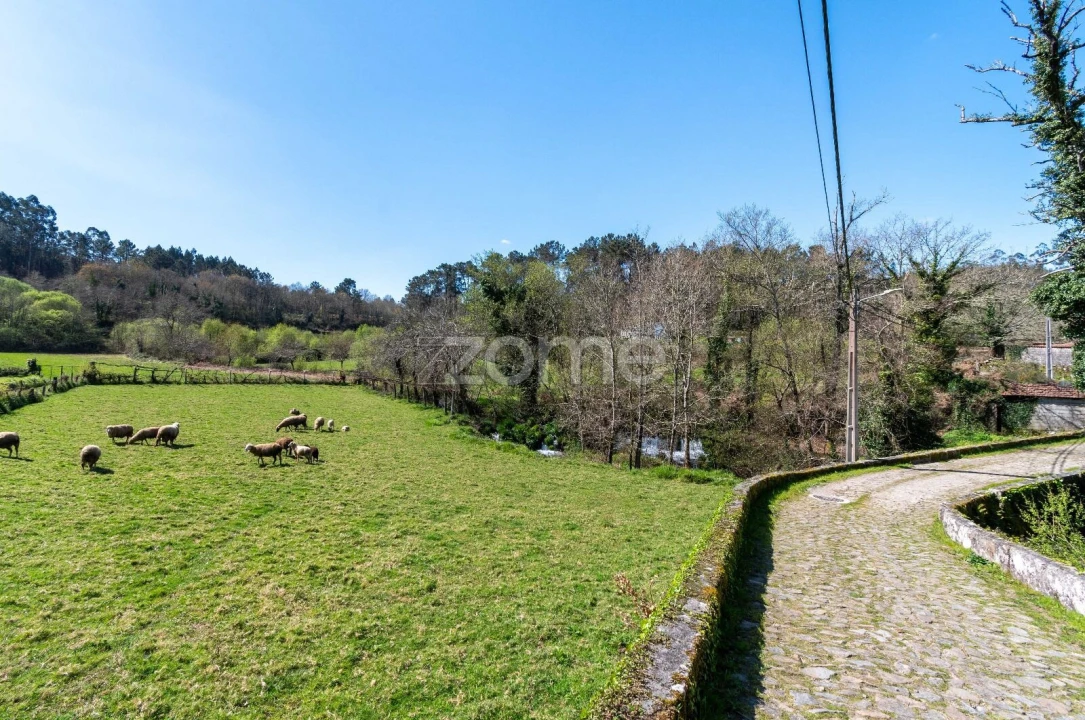 Quinta T5 para Venda em Rubiães Foto 11