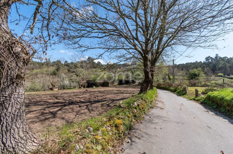 Quinta T5 para Venda em Rubiães Foto 10