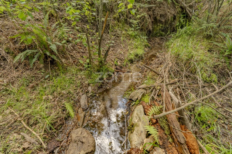 Quinta T5 para Venda em Rubiães Foto 32