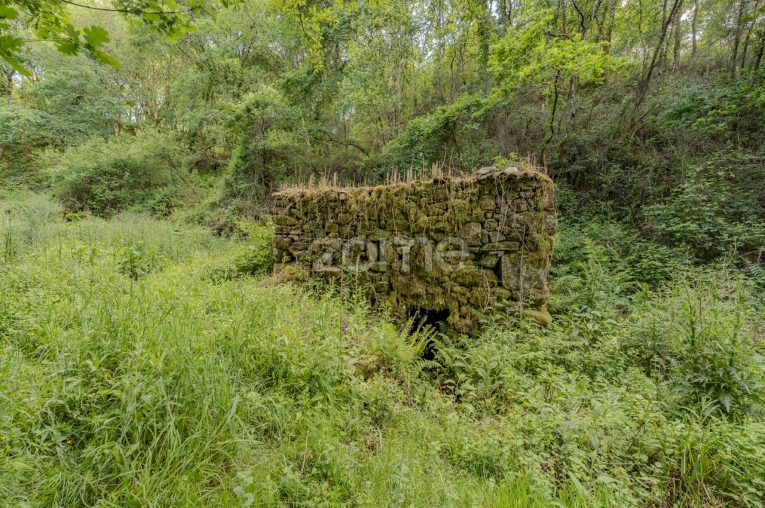 Quinta T5 para Venda em Rubiães Foto 35