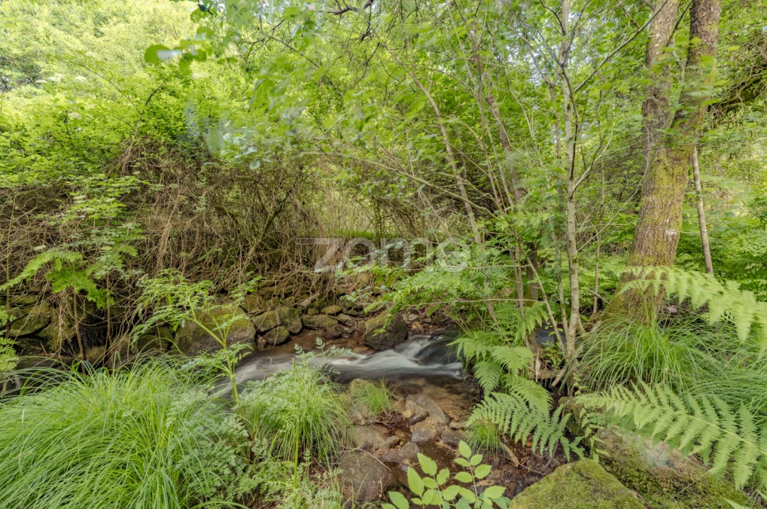 Quinta T5 para Venda em Rubiães Foto 36