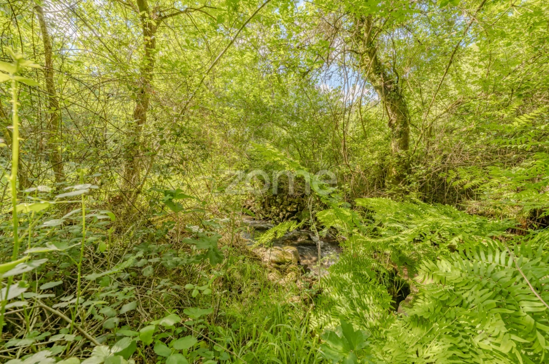 Quinta T5 para Venda em Rubiães Foto 37
