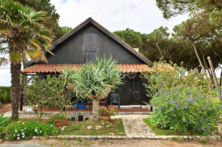 Quinta T4 para Venda em São João das Lampas e Terrugem Foto 3