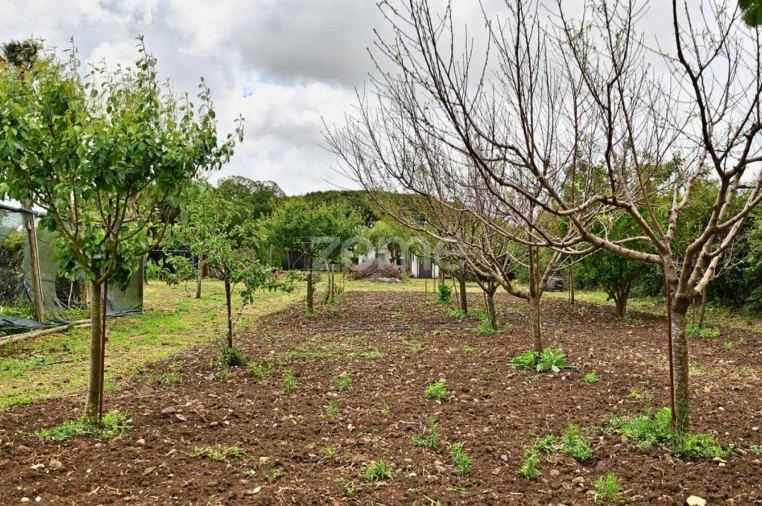 Quinta T4 para Venda em São João das Lampas e Terrugem Foto 26