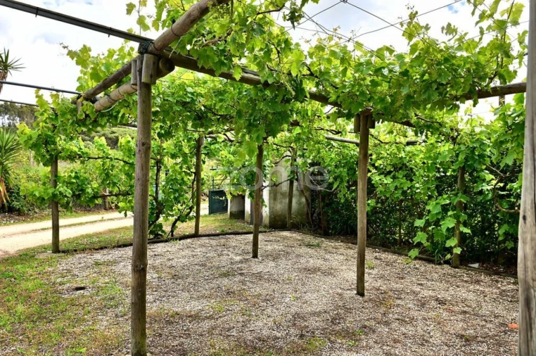 Quinta T4 para Venda em São João das Lampas e Terrugem Foto 21