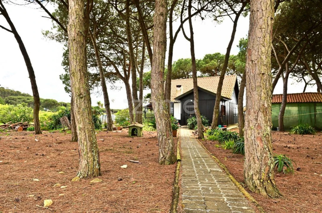 Quinta T4 para Venda em São João das Lampas e Terrugem Foto 4