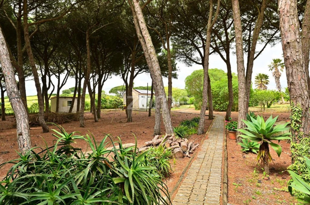 Quinta T4 para Venda em São João das Lampas e Terrugem Foto 20