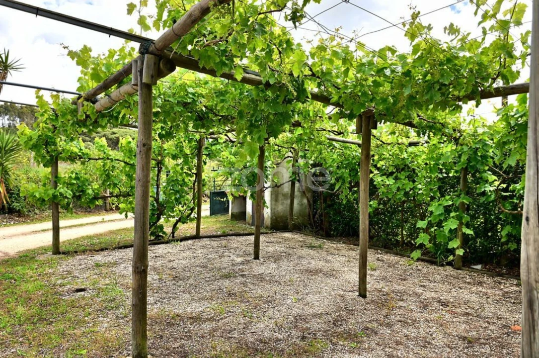 Quinta T4 para Venda em São João das Lampas e Terrugem Foto 21
