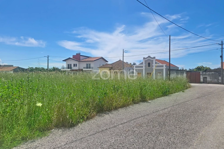 Terreno para Venda em Lavos Foto 13