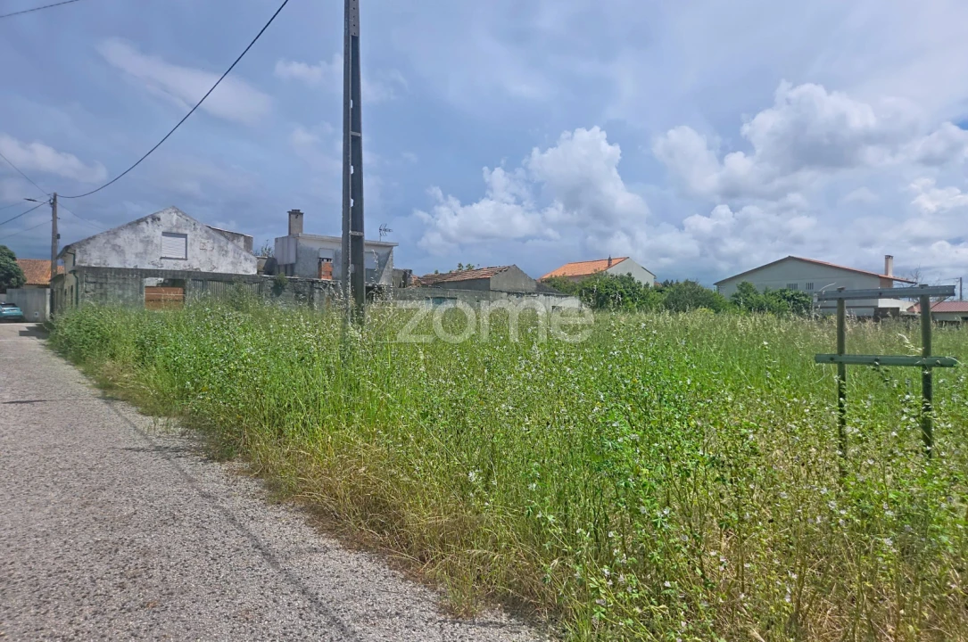 Terreno para Venda em Lavos Foto 14
