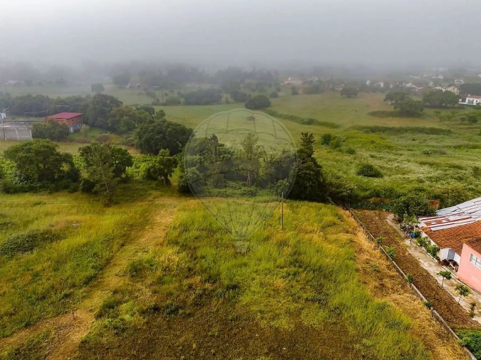 Terreno para Venda em Paialvo Foto 8
