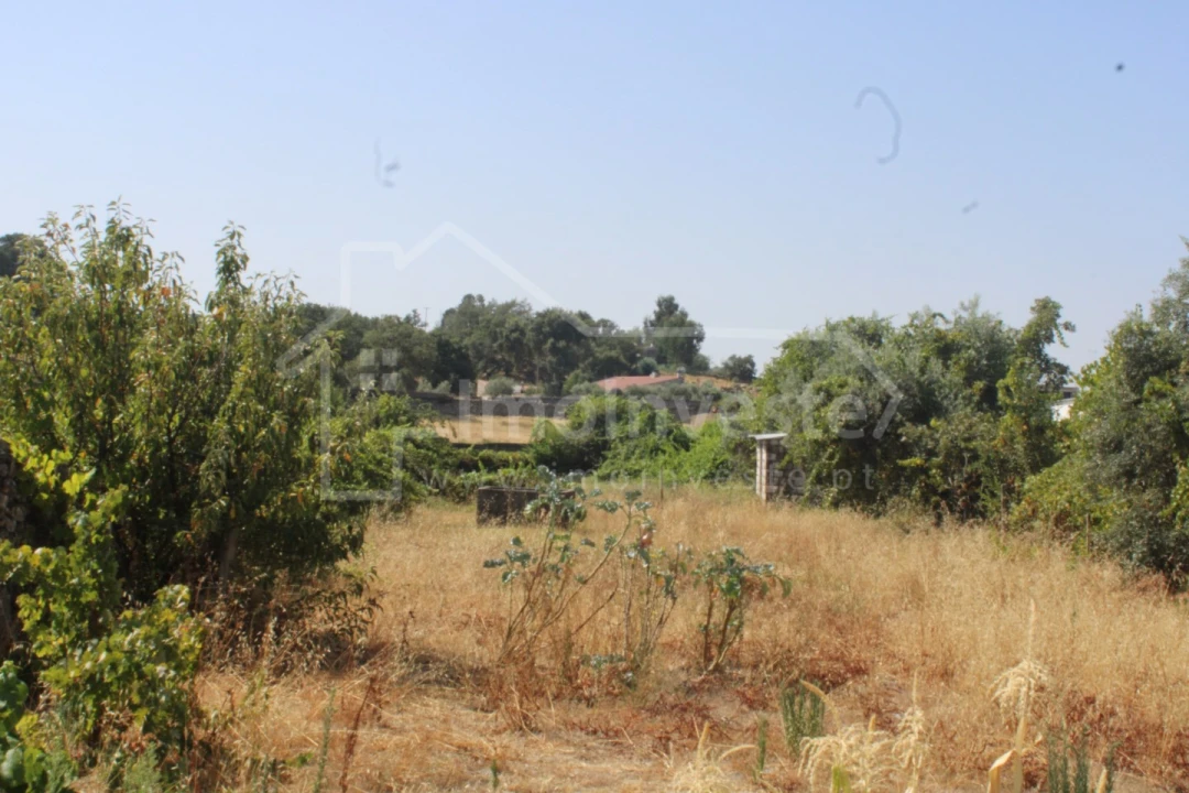 Terreno para Venda em Alcains Foto 1