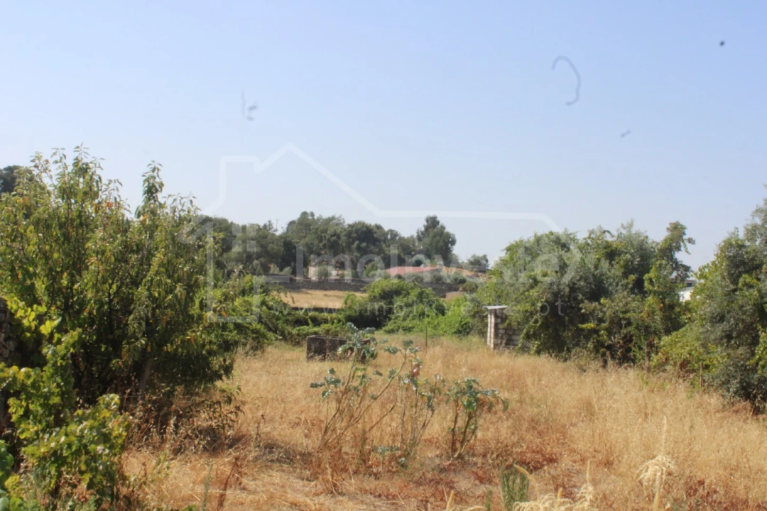 Terreno para Venda em Alcains Foto 2