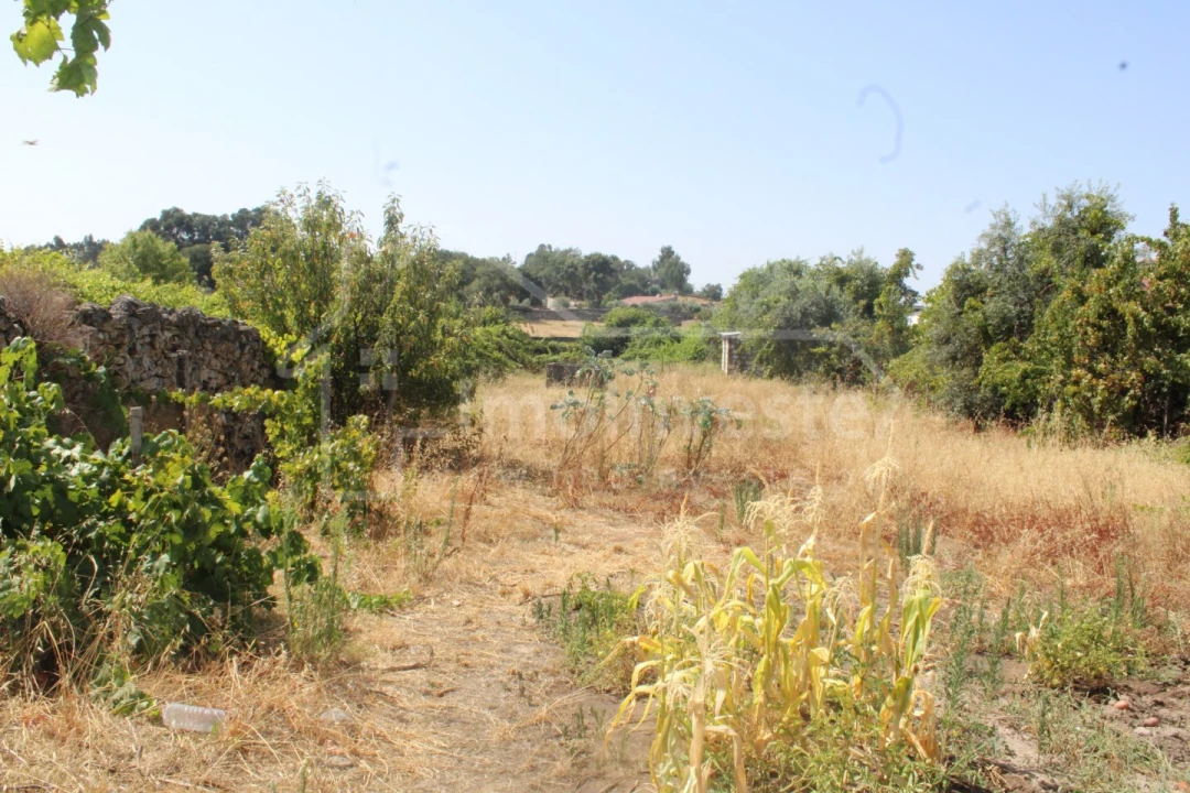 Terreno para Venda em Alcains Foto 4