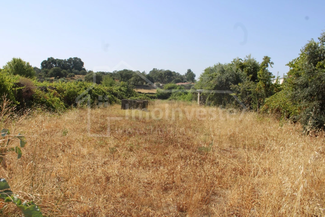 Terreno para Venda em Alcains Foto 7