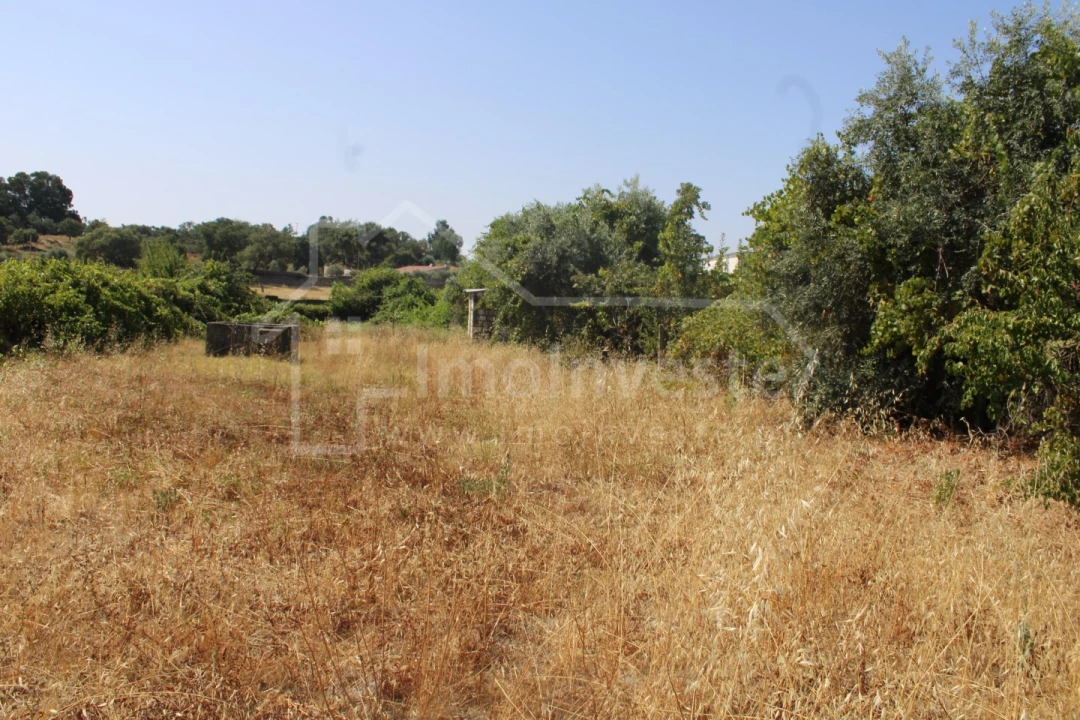 Terreno para Venda em Alcains Foto 9