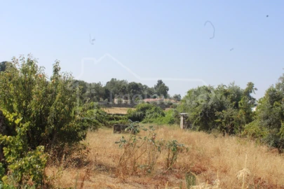 Terreno para Venda em Alcains