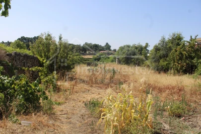 Terreno para Venda em Alcains