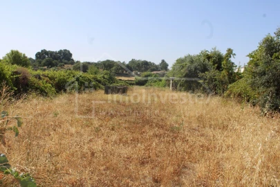 Terreno para Venda em Alcains