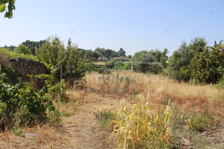 Terreno para Venda em Alcains Foto 5