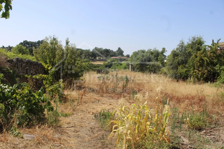 Terreno para Venda em Alcains Foto 6