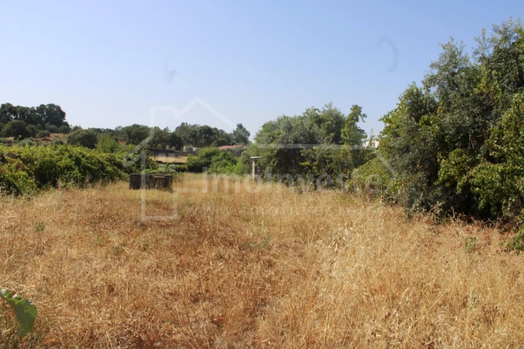 Terreno para Venda em Alcains Foto 8