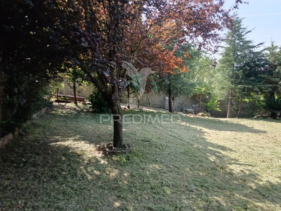 Moradia T3 para Venda em Sardoal Foto 22