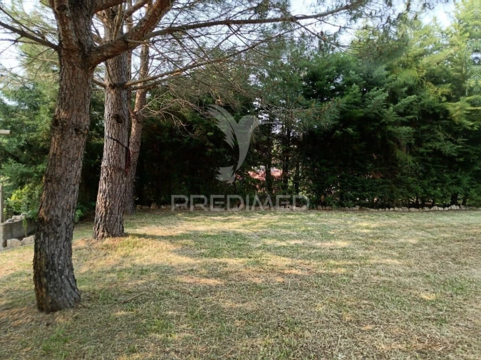 Moradia T3 para Venda em Sardoal Foto 23