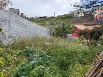 Terreno para Venda em Ribeira Brava