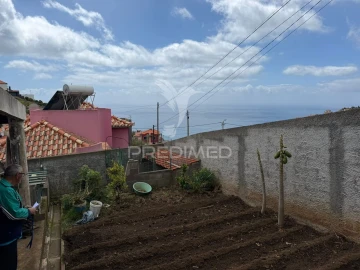 Terreno para Venda em Ribeira Brava