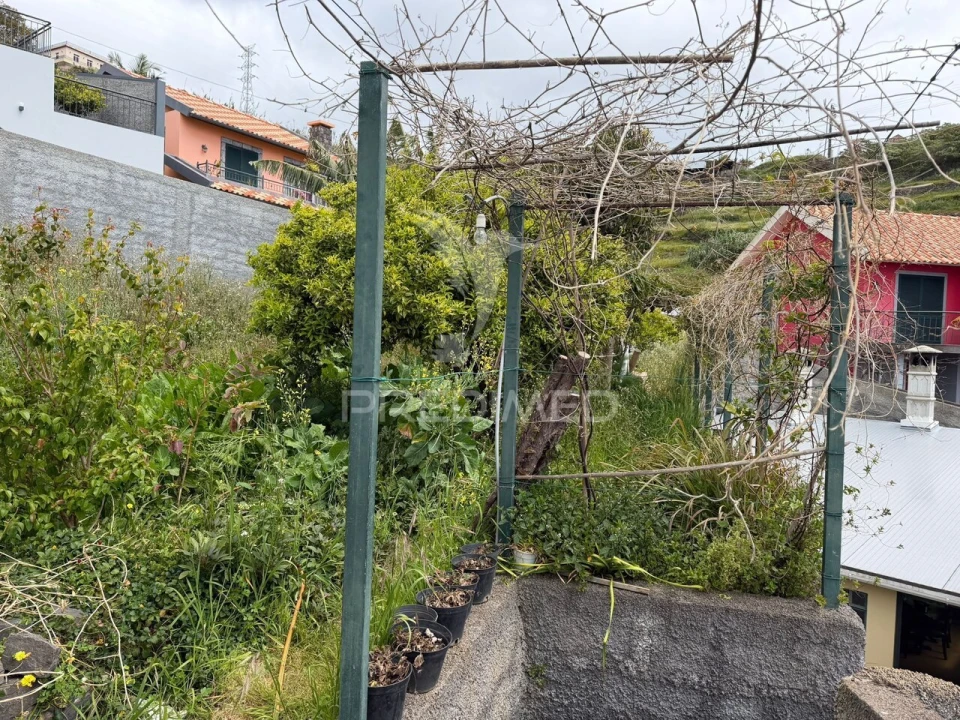 Terreno para Venda em Ribeira Brava Foto 14