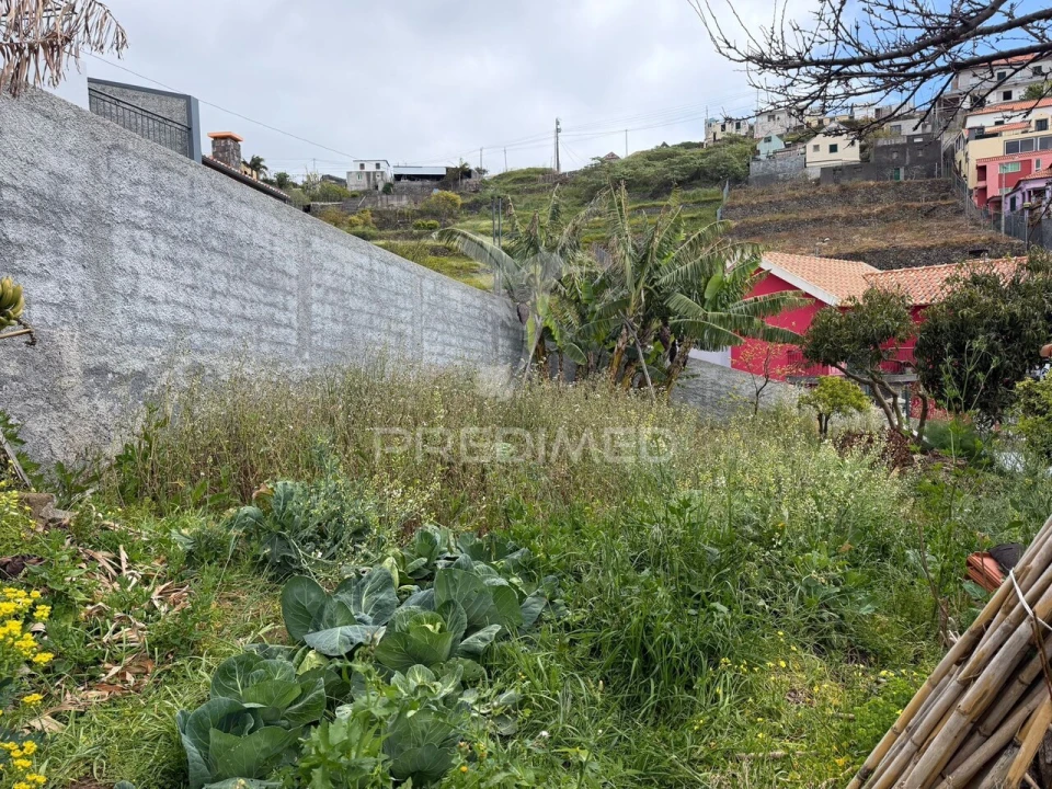 Terreno para Venda em Ribeira Brava Foto 4