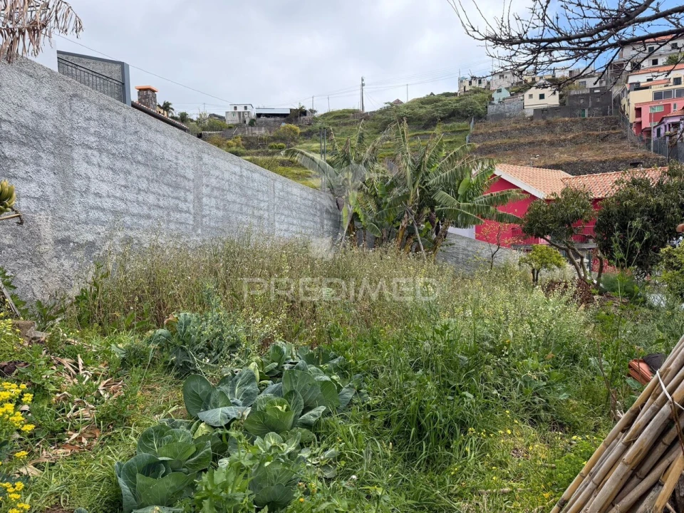 Terreno para Venda em Ribeira Brava Foto 4