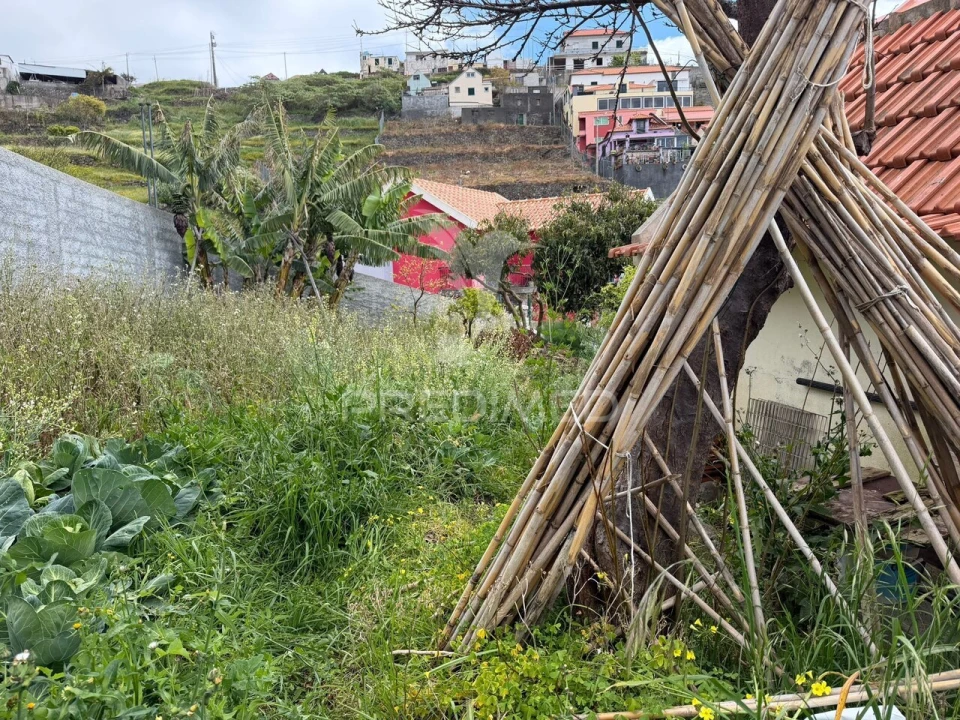 Terreno para Venda em Ribeira Brava Foto 7