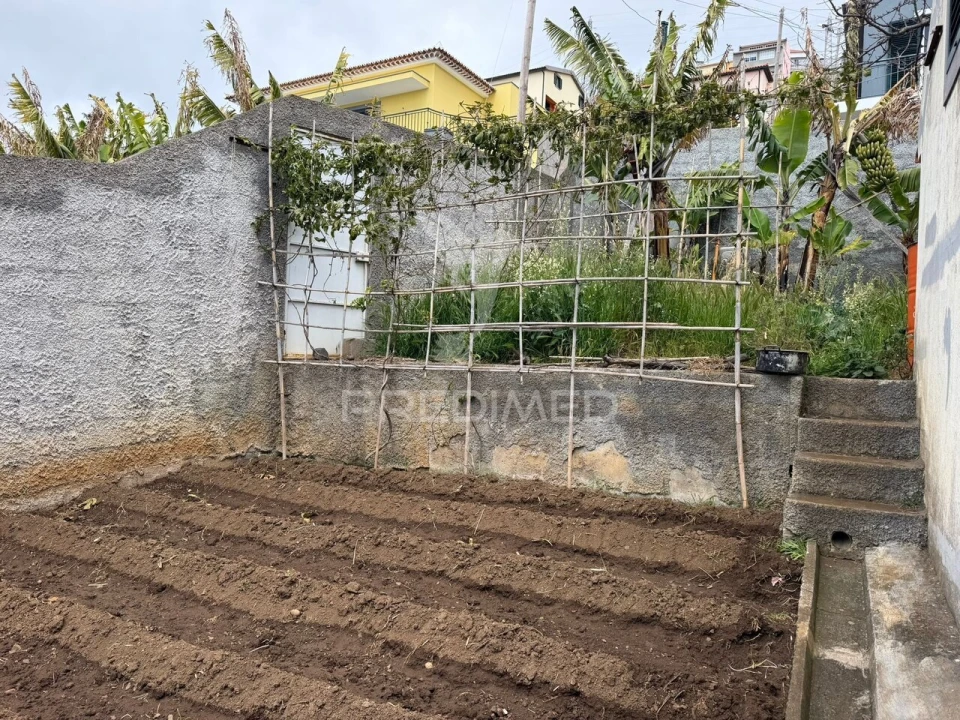 Terreno para Venda em Ribeira Brava Foto 2