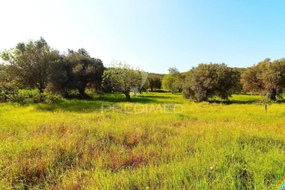 Terreno para Venda em Loule (São Sebastião)