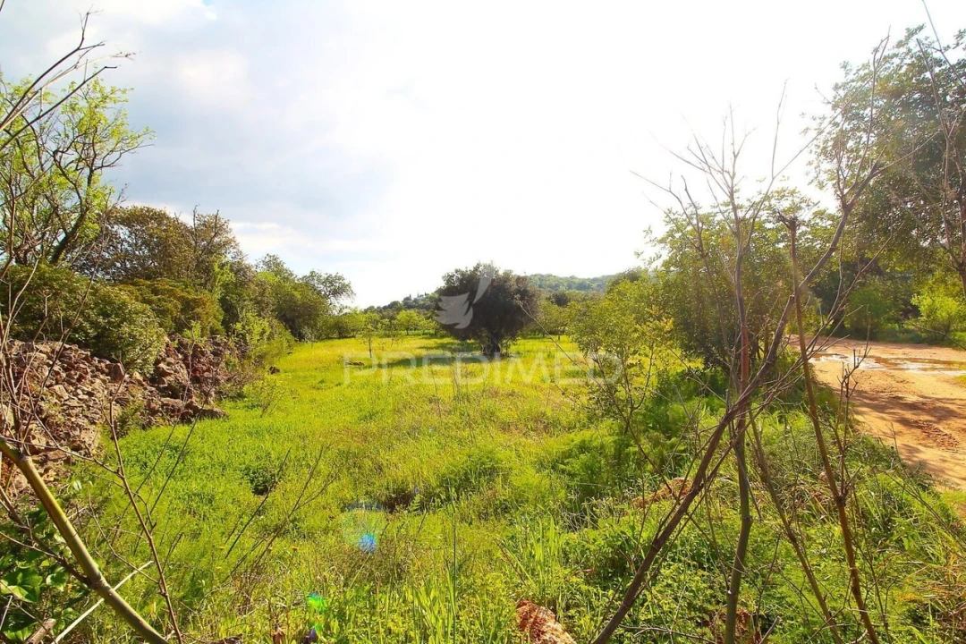 Terreno para Venda em Loule (São Sebastião) Foto 7