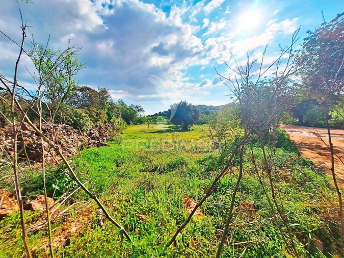 Terreno para Venda em Loule (São Sebastião) Foto 3
