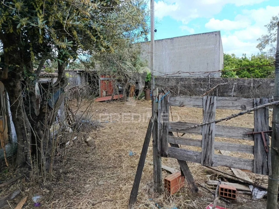 Terreno para Venda em Alagoa Foto 5