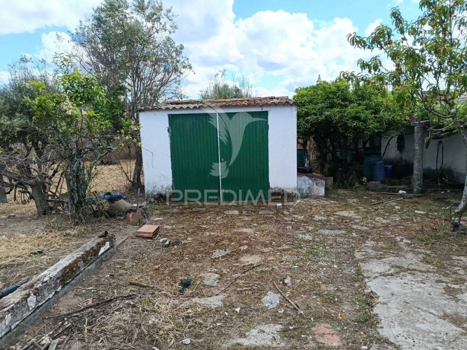 Terreno para Venda em Alagoa Foto 6