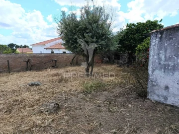 Terreno para Venda em Alagoa