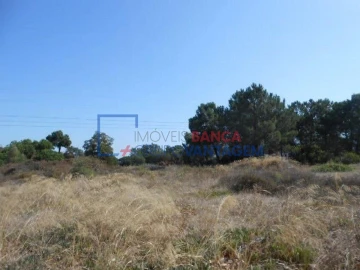 Terreno P/ Prédio para Venda em Santo Antonio da Charneca